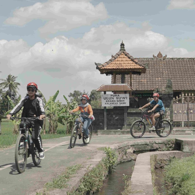 Cycling Ubud