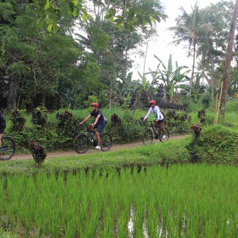 Cycling Batur
